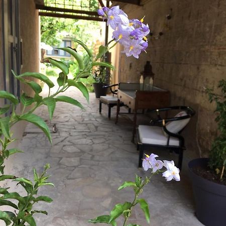 Un Jardin En Ville Sarlat-la-Canéda Exterior photo